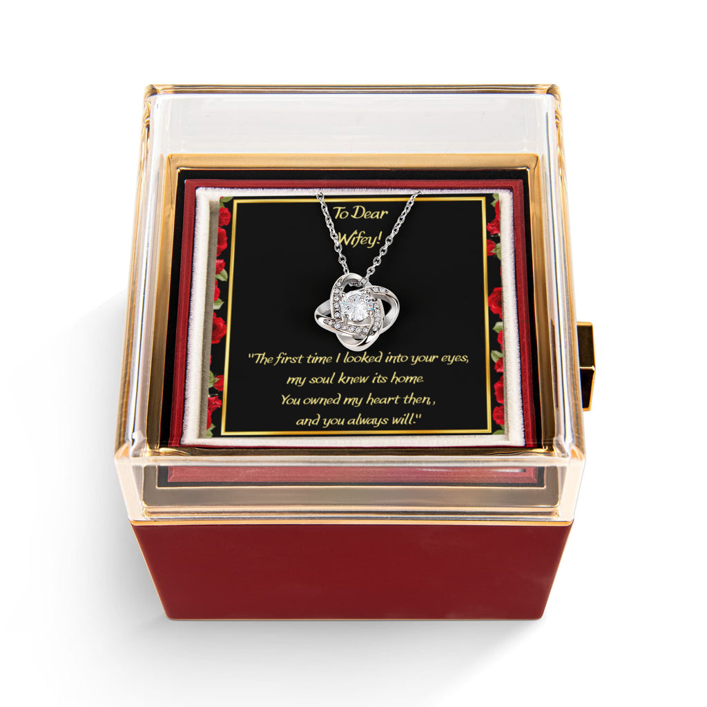 ''the first time i looked into your eyes''